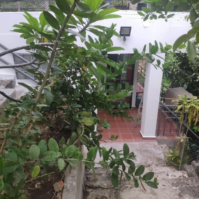 Kk Jungle Hideaway Lovely Apartment 5 Mins Walk To Town Κότα Κιναμπαλού Εξωτερικό φωτογραφία